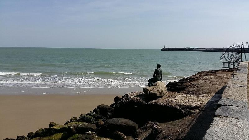 فندق The Wycliffe