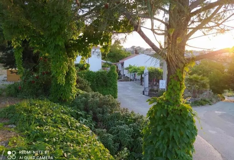 B&b Troisi