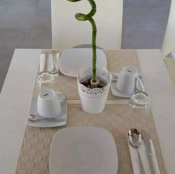 ベッドアンドブレックファースト Dodo House