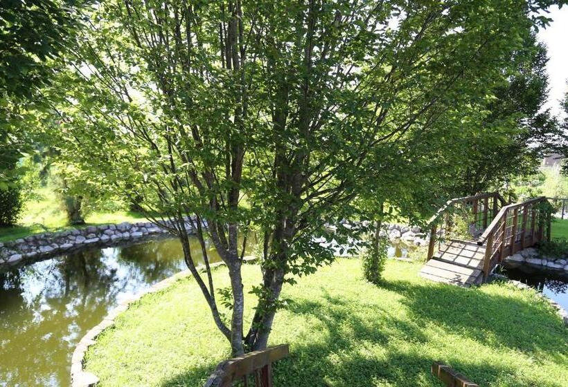 Nocleg ze śniadaniem Isola Di Wight