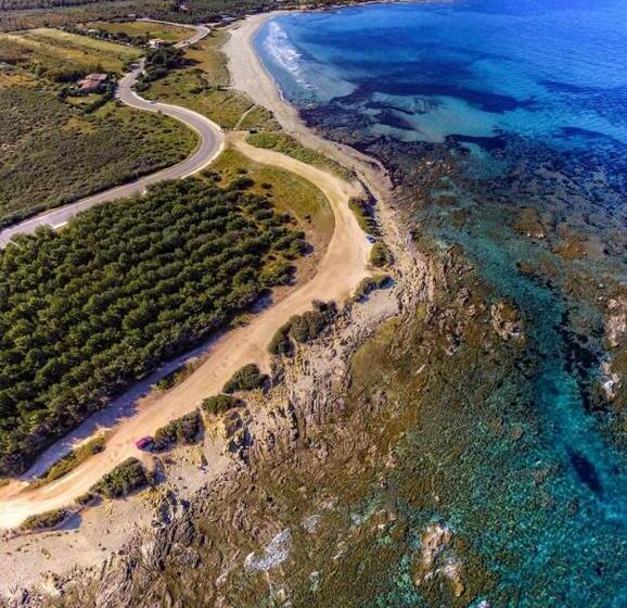 민박 La Pavoncella