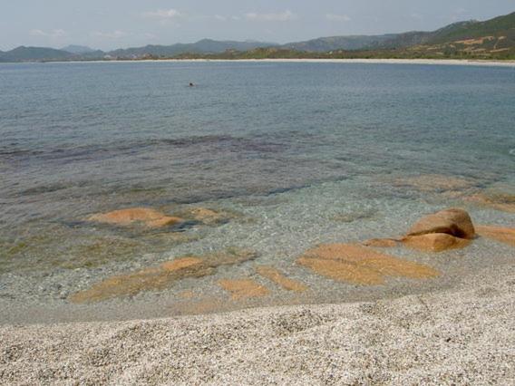 민박 La Pavoncella