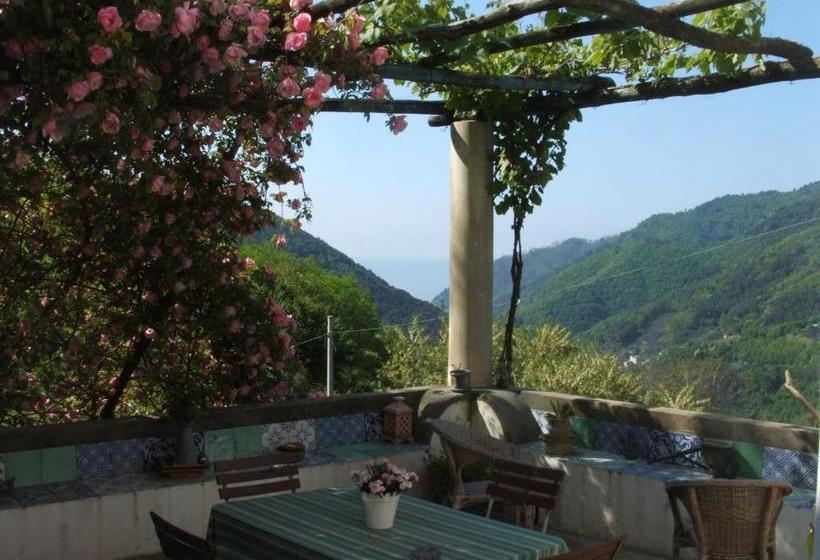 Nocleg ze śniadaniem Pietra Rosa