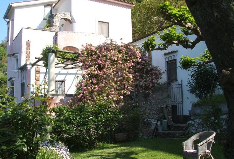 Nocleg ze śniadaniem Pietra Rosa