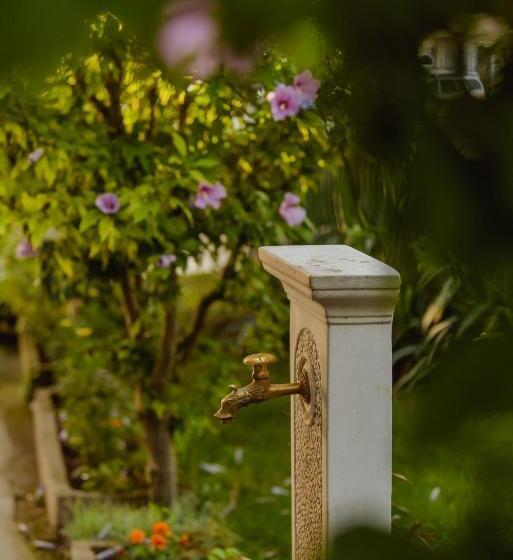 בית מלון כפרי Carmen