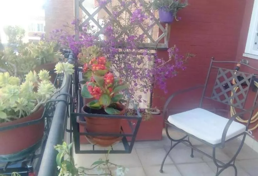 B&b Salviani