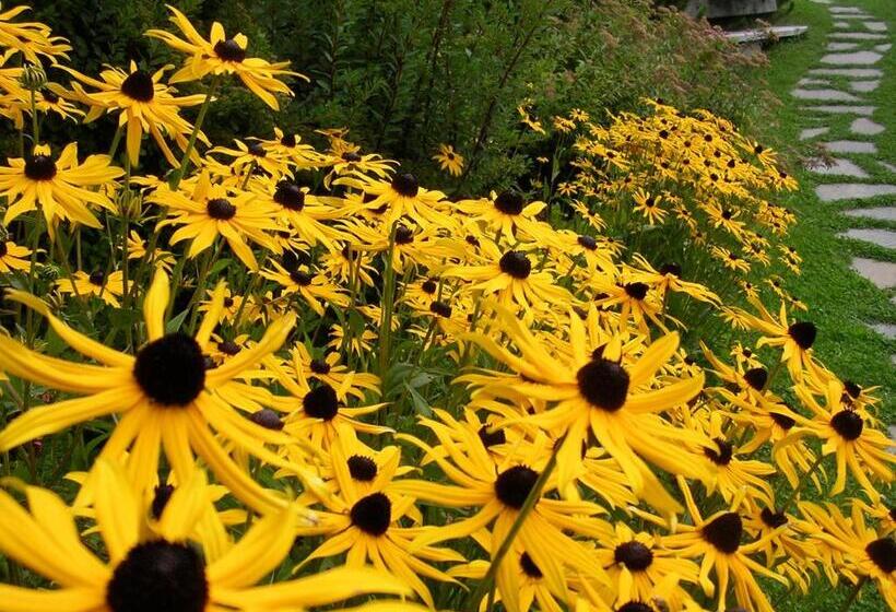 Charmehotel Uhrerhof   Deur