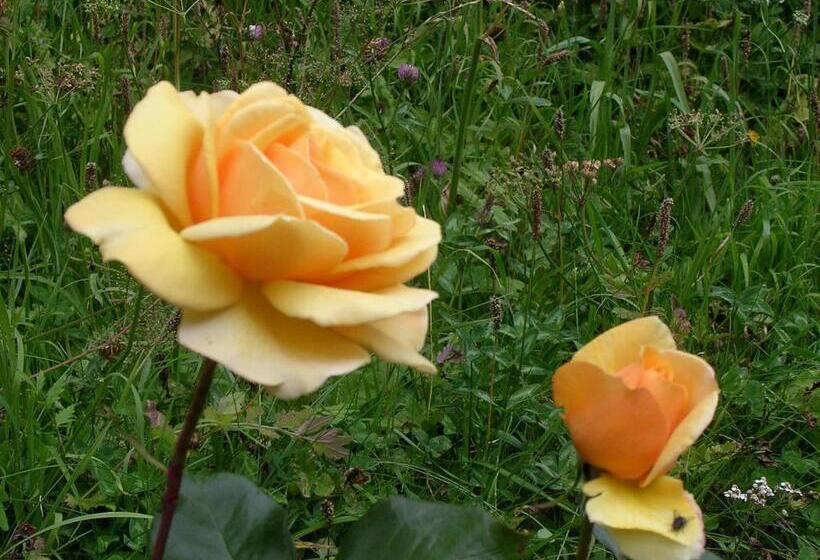 Charmehotel Uhrerhof   Deur