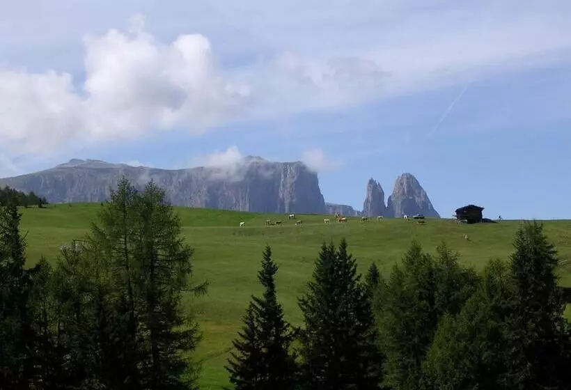 Charmehotel Uhrerhof   Deur