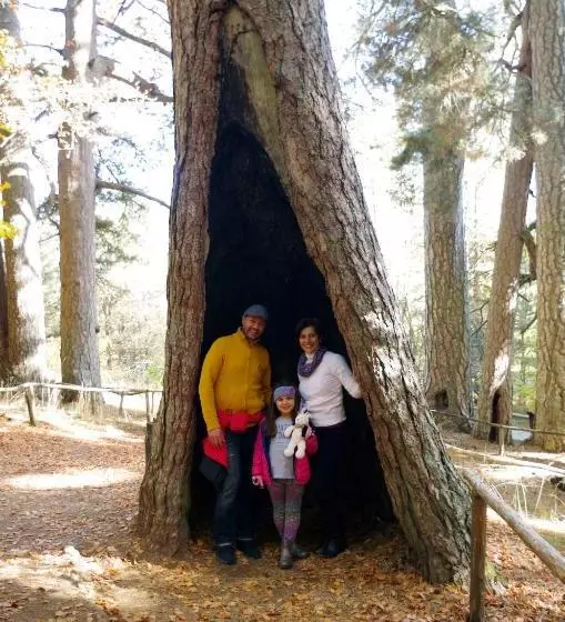 Hotelli Albergo Diffuso Ecobelmonte