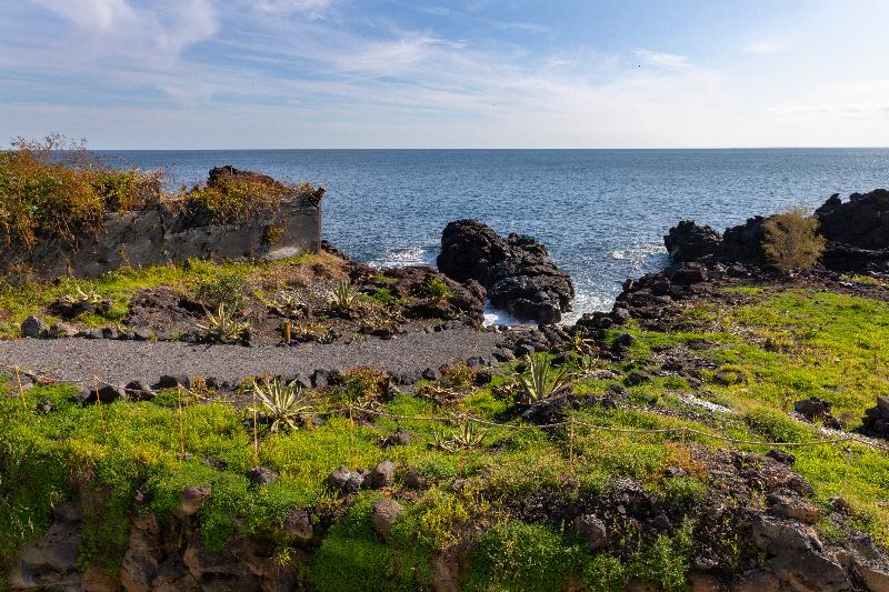 Zeus Hotel   Aparthotel   Meeting & Congress