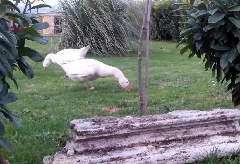 La Vecchia Stalla B&b