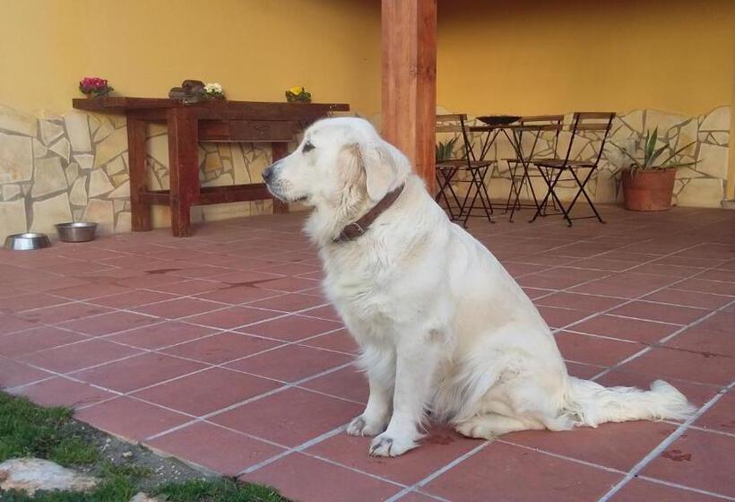 La Vecchia Stalla B&b