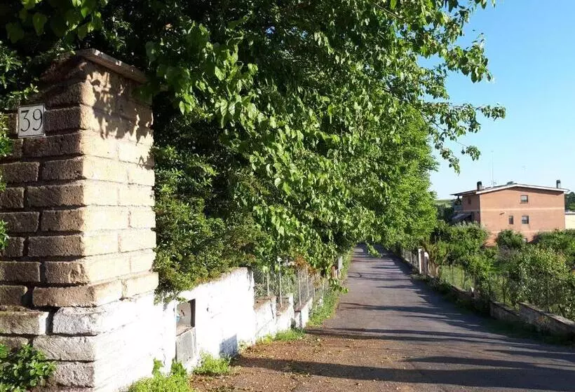 B&b Papa Leone Countryrooms