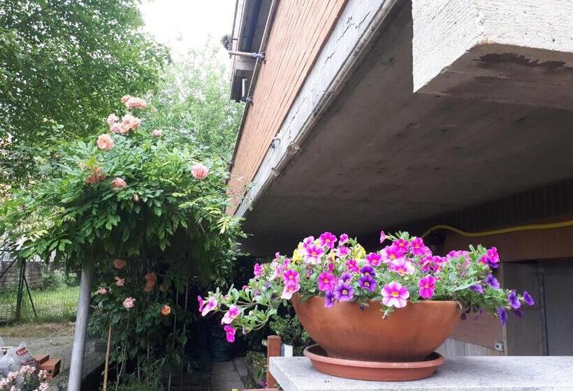 B&b Papa Leone Countryrooms