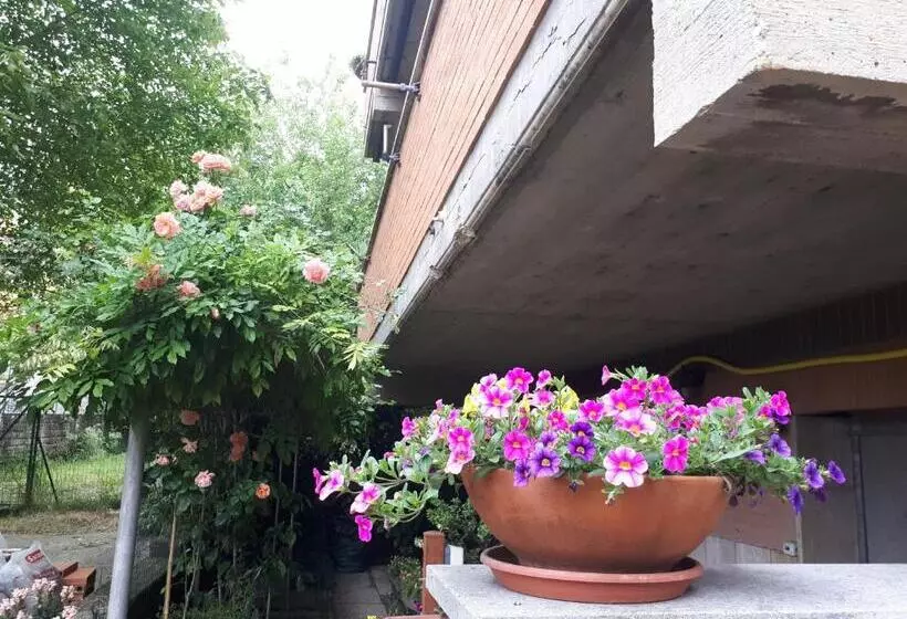 B&b Papa Leone Countryrooms