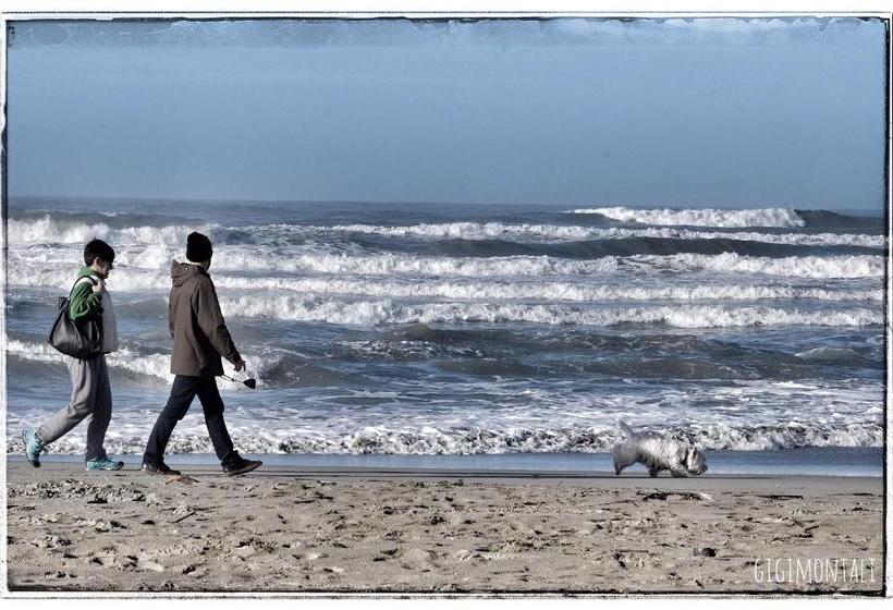 تختخواب و صبحانه La Casa Sul Molo