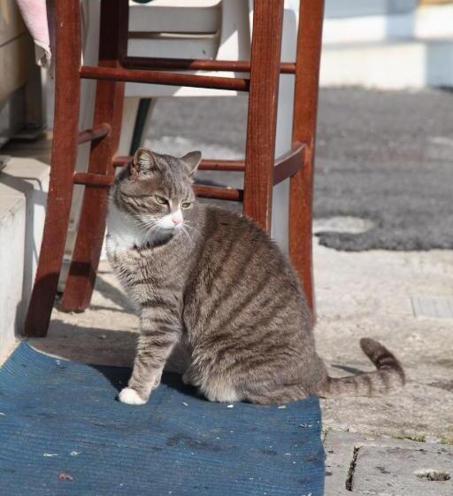 تختخواب و صبحانه La Casa Sul Molo