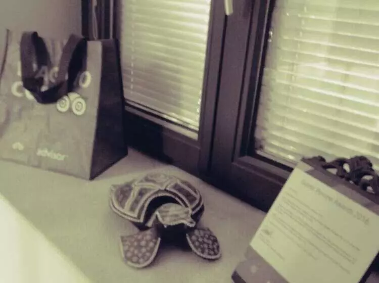 ベッドアンドブレックファースト La Corte Dei Morra