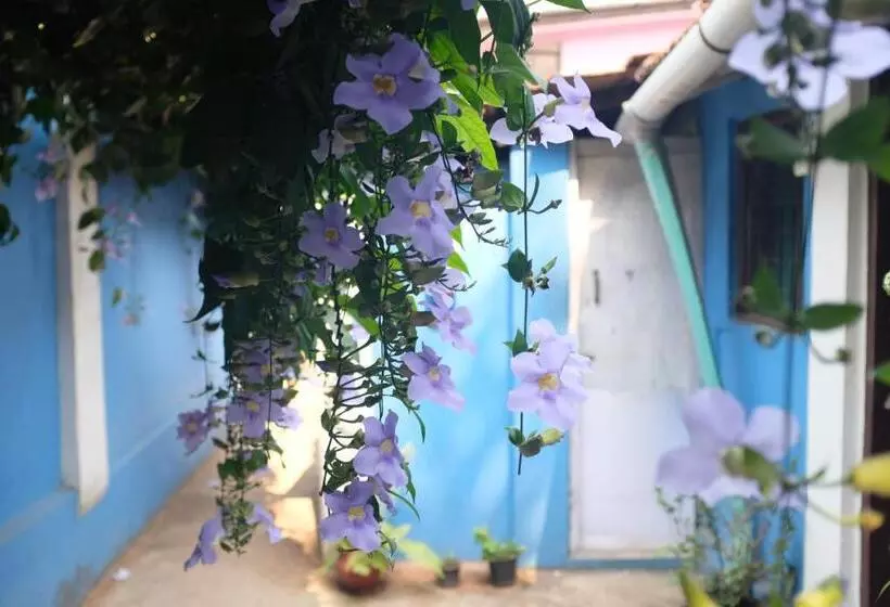 ベッドアンドブレックファースト Villa Khatun Guesthouse