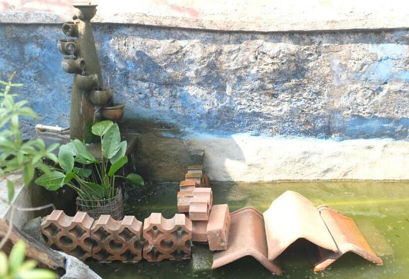 Nocleg ze śniadaniem Villa Khatun Guesthouse