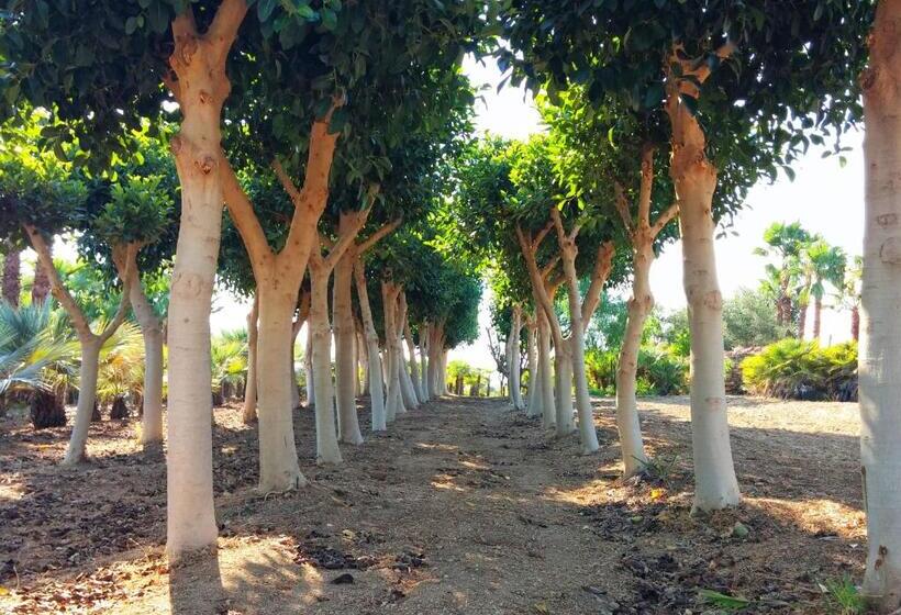 Bed and Breakfast Villa Lekythos