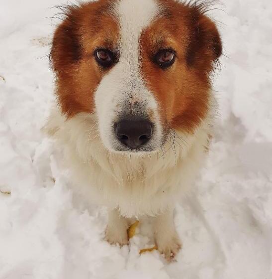 Cà Gennara Agri B&b