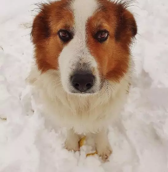 Cà Gennara Agri B&b