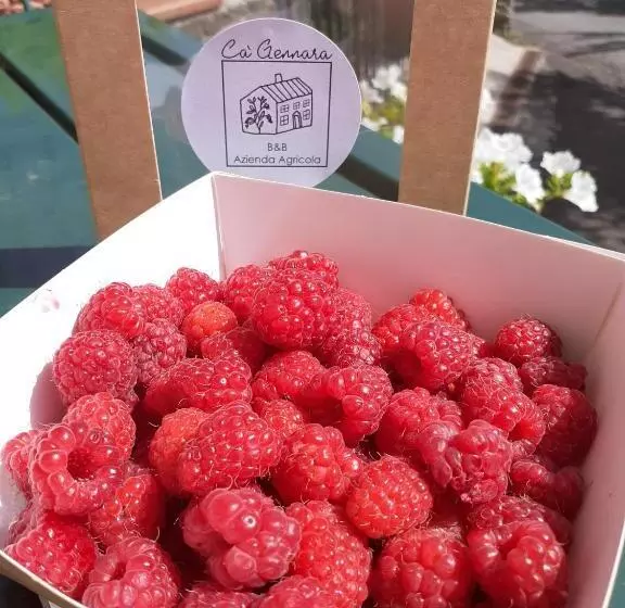 Cà Gennara Agri B&b