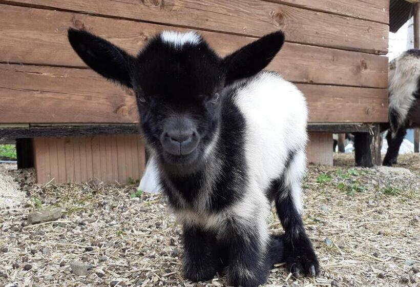 Cà Gennara Agri B&b