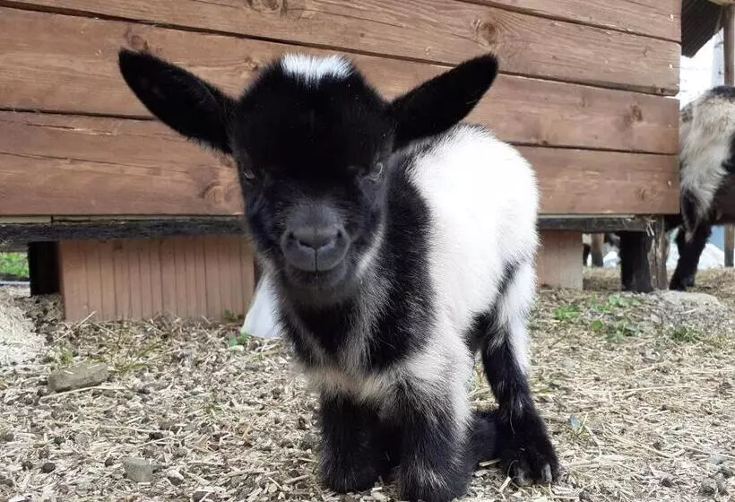 Cà Gennara Agri B&b