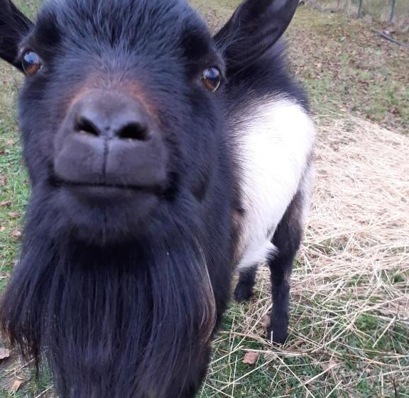 Cà Gennara Agri B&b