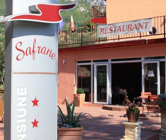 Отель Pensiune Safrane