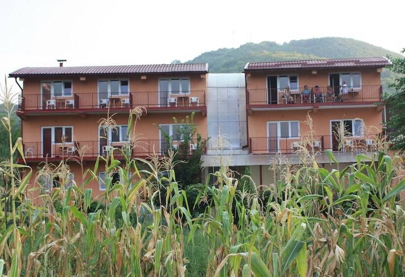 Отель Pensiune Safrane