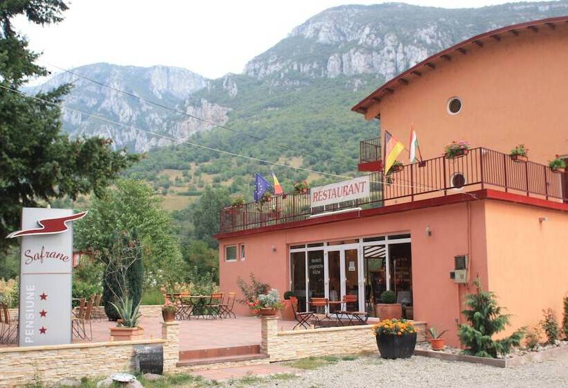 Отель Pensiune Safrane