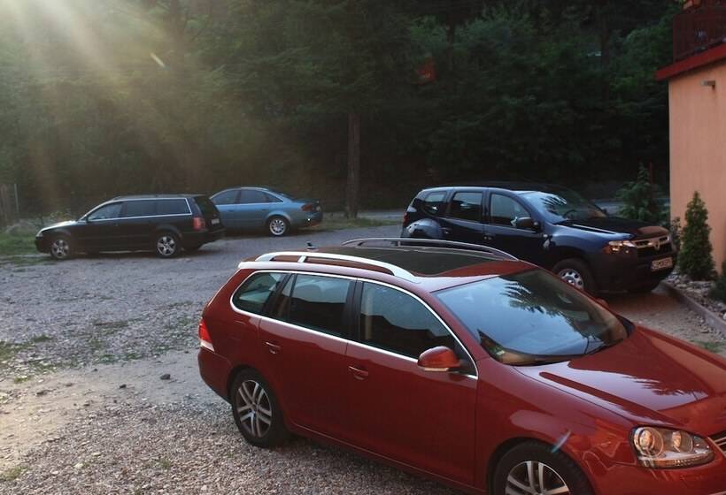 Отель Pensiune Safrane