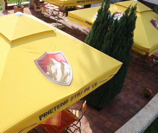 Отель Pensiune Safrane