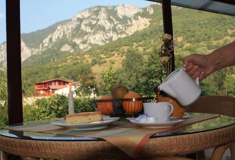 Отель Pensiune Safrane