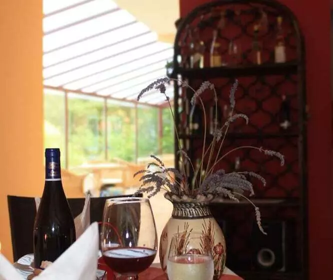 Hotelli Pensiune Safrane