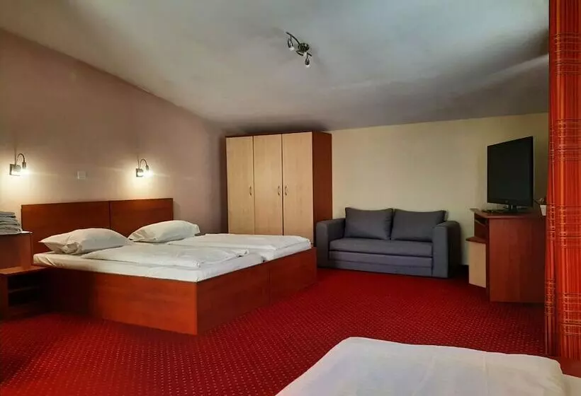 Hotelli Pensiune Safrane