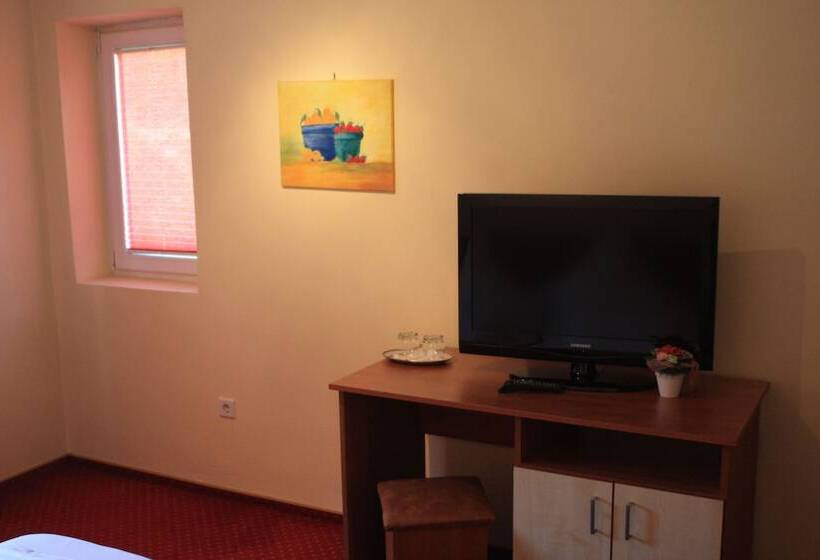 Отель Pensiune Safrane