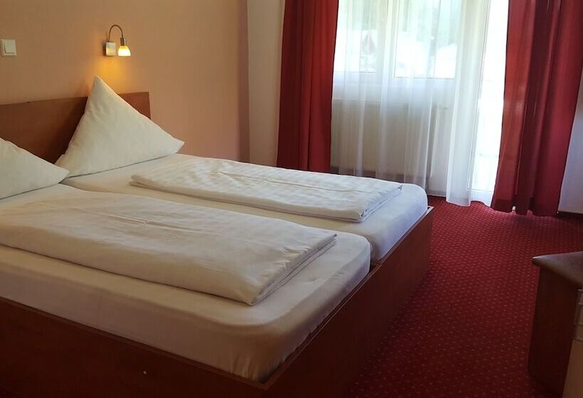 Отель Pensiune Safrane