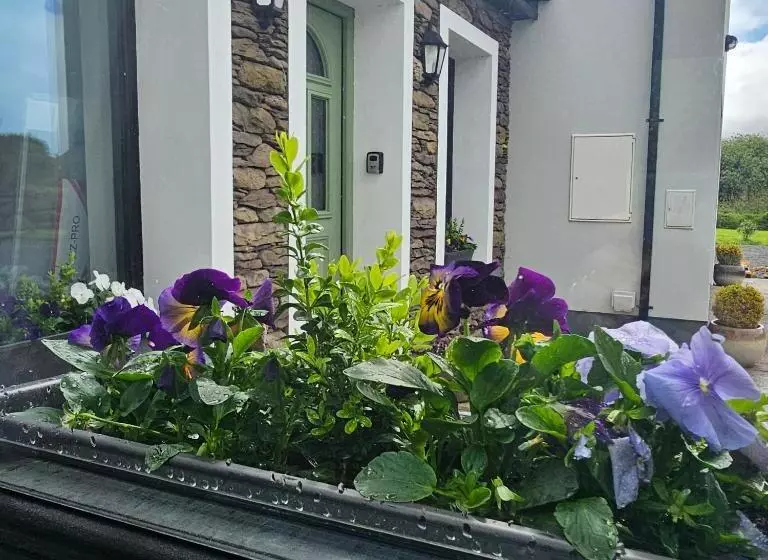 Hotelli The Cé Hideout