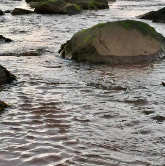 בית מלון כפרי The Cé Hideout