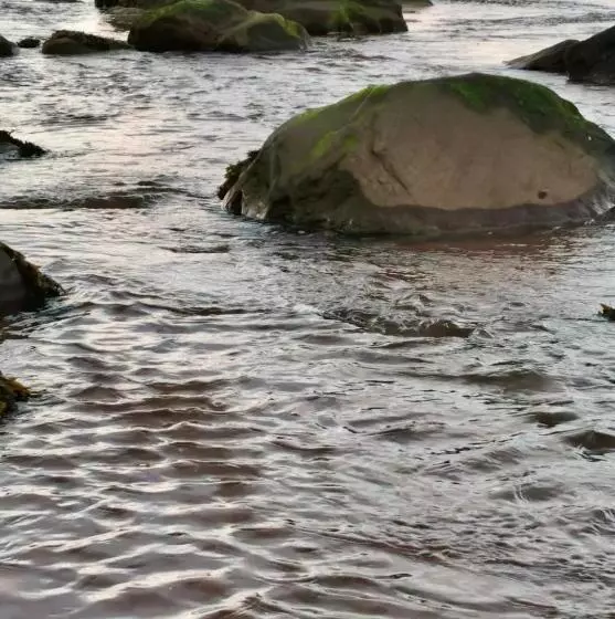 Hotelli The Cé Hideout