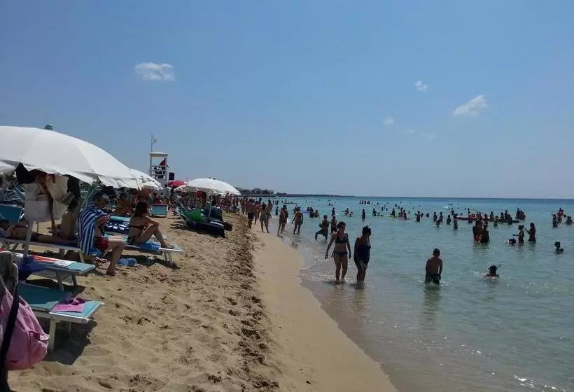 Alma Terra Salento B&b