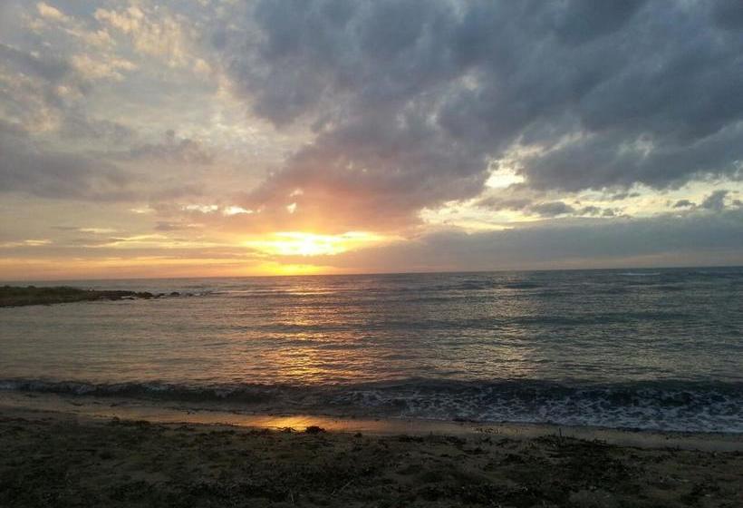 Alma Terra Salento B&b