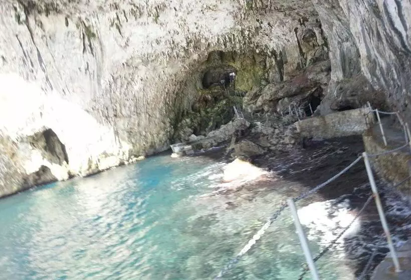 Alma Terra Salento B&b