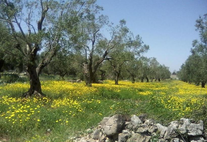 Alma Terra Salento B&b
