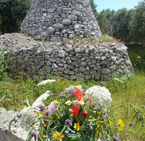 Alma Terra Salento B&b